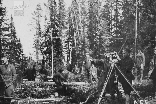 На острове Заяц. Валка леса (рабочий момент кинооператора). 29 мая 1932 года
